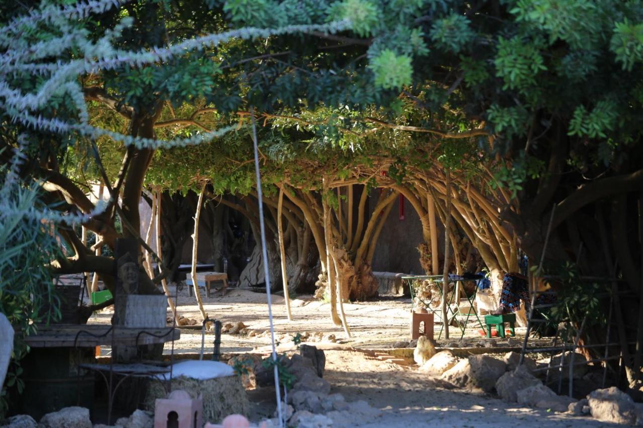Dar Tawarta Guest House 다클라 외부 사진