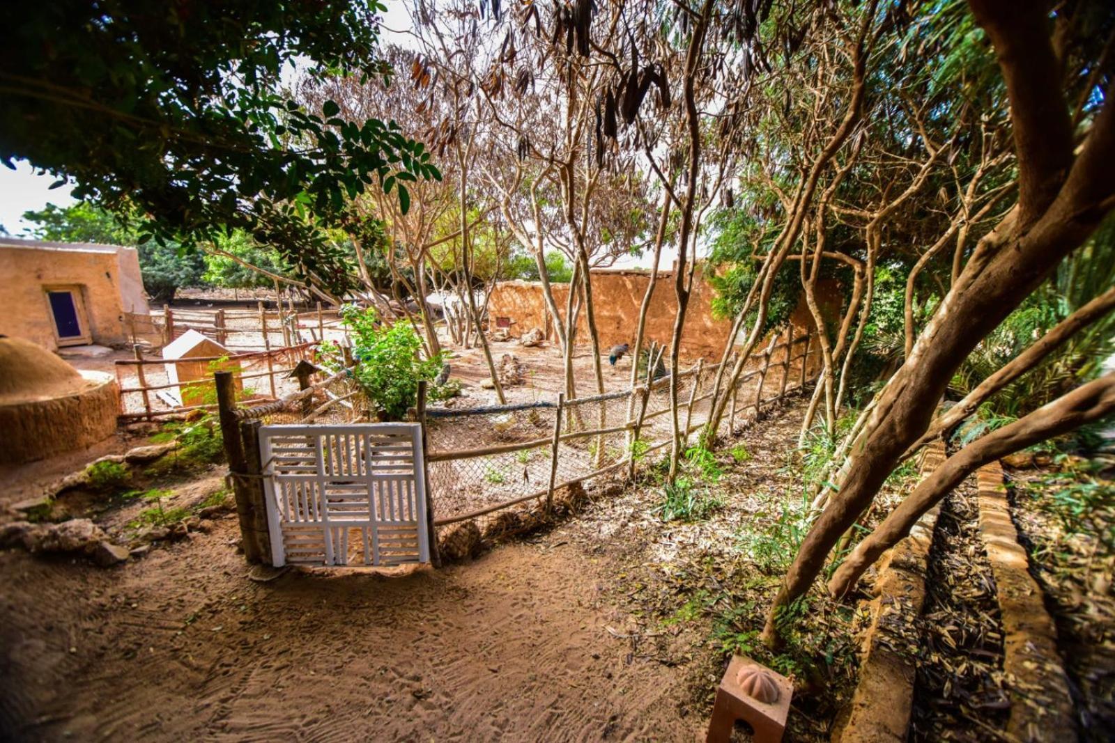 Dar Tawarta Guest House 다클라 외부 사진