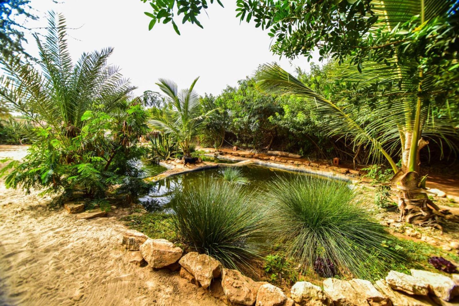 Dar Tawarta Guest House 다클라 외부 사진